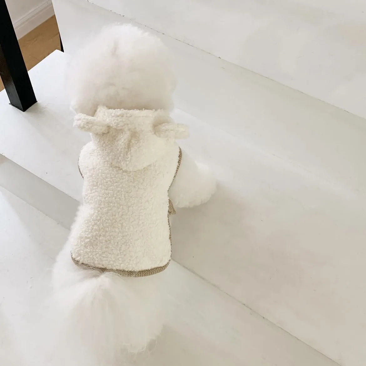 Warm Pet Clothing Cape Pet Hood Cape Small Dog Cat Teddy Autumn and Winter Thickened Puppy Clothes Designer Dog Clothes
