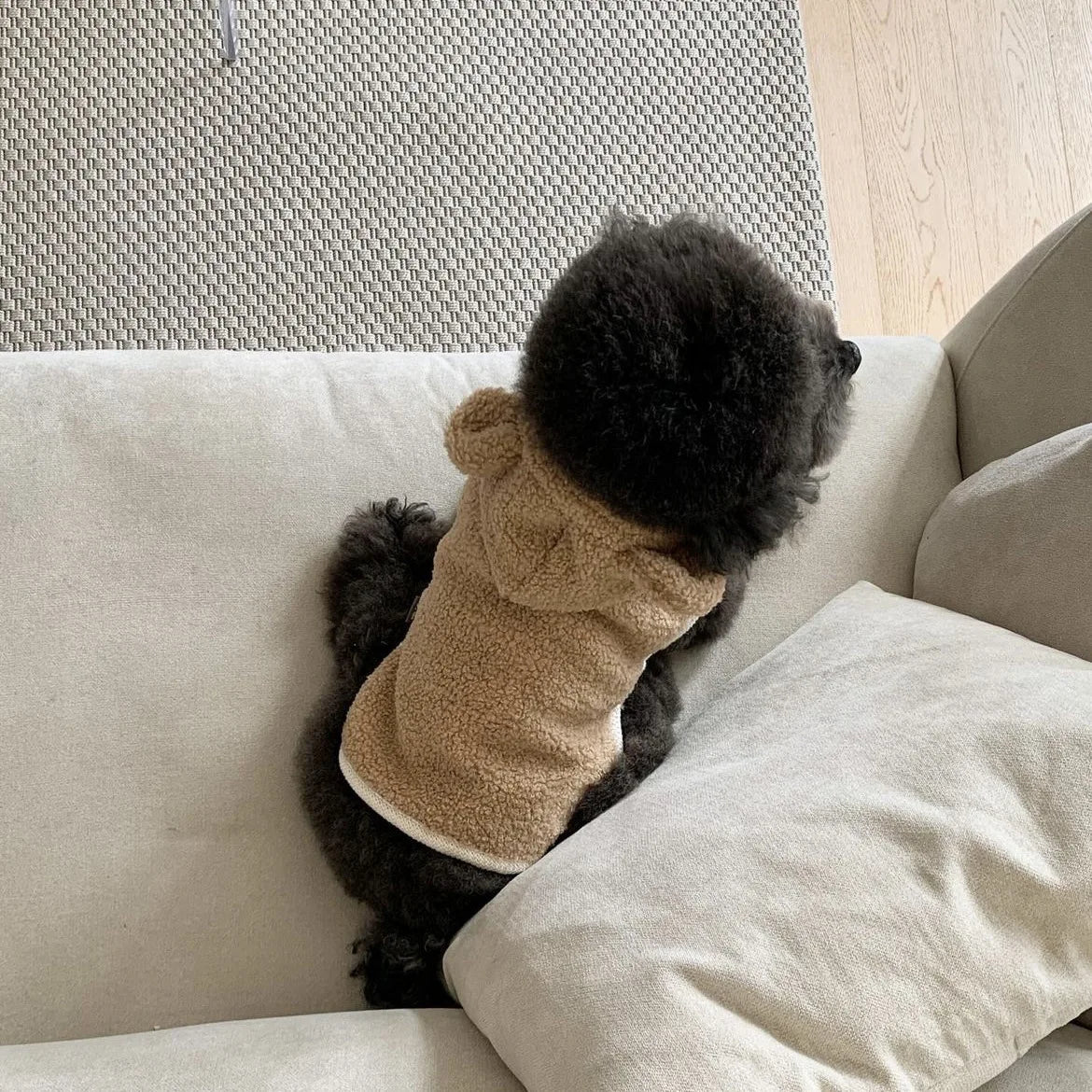 Warm Pet Clothing Cape Pet Hood Cape Small Dog Cat Teddy Autumn and Winter Thickened Puppy Clothes Designer Dog Clothes