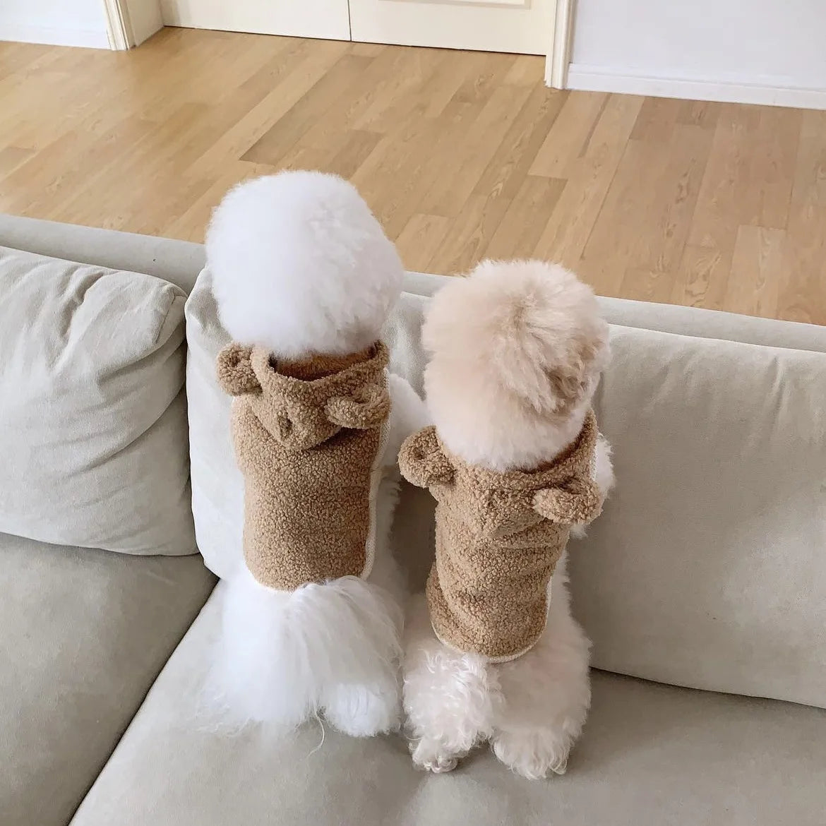 Warm Pet Clothing Cape Pet Hood Cape Small Dog Cat Teddy Autumn and Winter Thickened Puppy Clothes Designer Dog Clothes