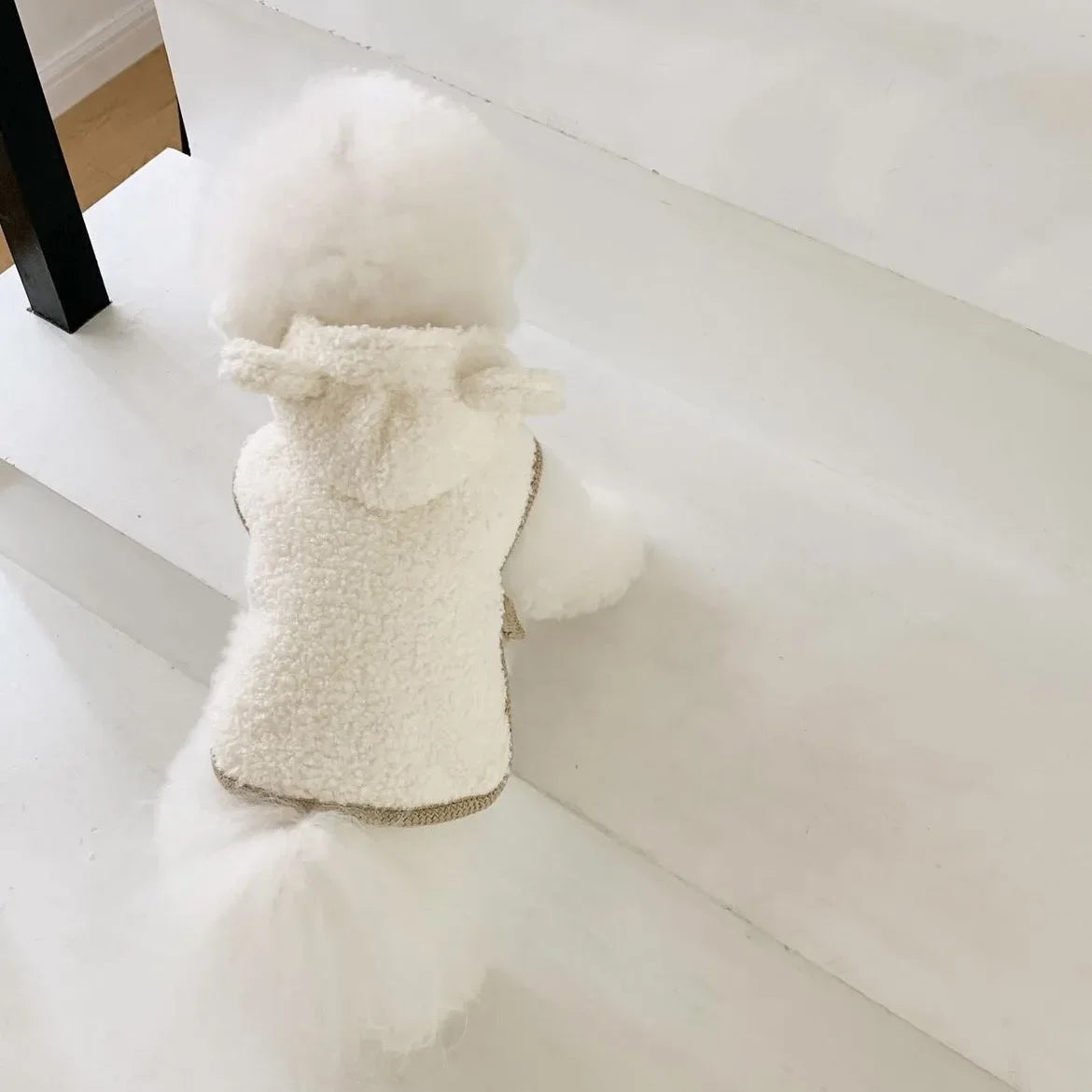 Warm Pet Clothing Cape Pet Hood Cape Small Dog Cat Teddy Autumn and Winter Thickened Puppy Clothes Designer Dog Clothes