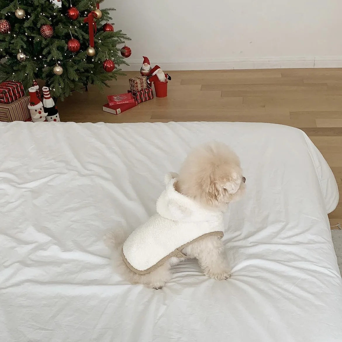 Warm Pet Clothing Cape Pet Hood Cape Small Dog Cat Teddy Autumn and Winter Thickened Puppy Clothes Designer Dog Clothes